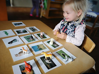 Photo of Koru Montessori 