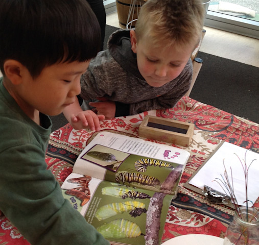 Photo of Tots on Triton Early Childhood Centre