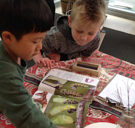 Photo of Tots on Triton Early Childhood Centre