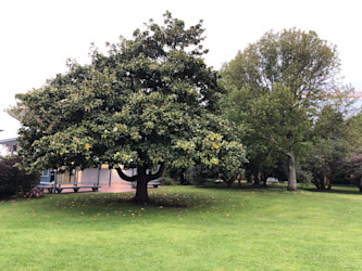Photo of Kauri Kids East Coast Bays