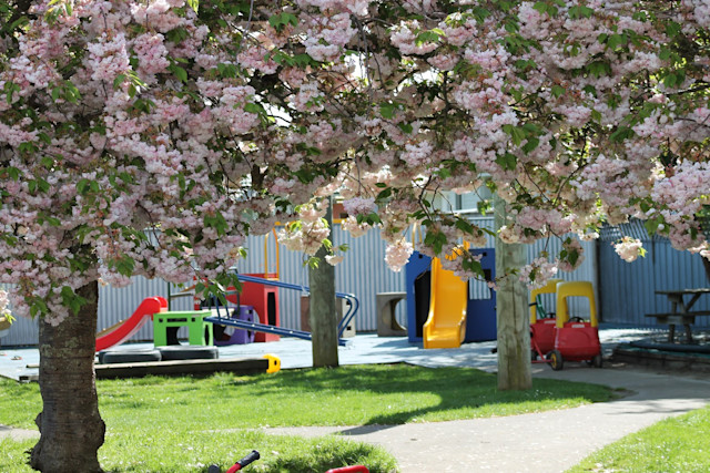 Photo of Levin Baptist Kindergarten