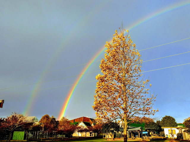 Photo of Kristin School Kindergarten
