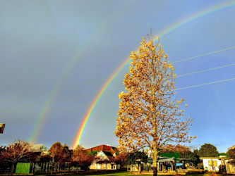 Photo of Kristin School Kindergarten
