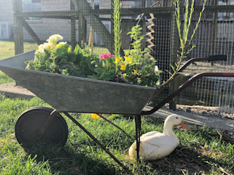 Photo of Little Einsteins Educare 