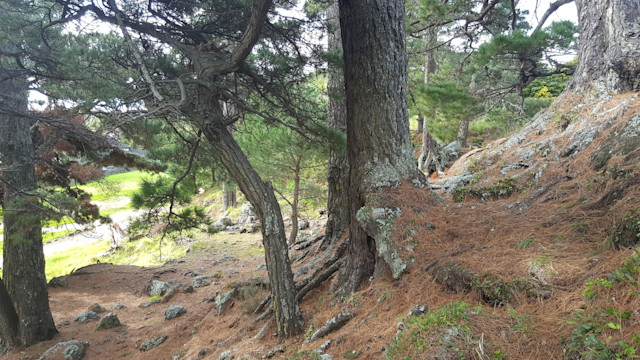 Photo of Pigeon Mountain Kindergarten