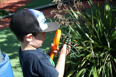 Photo of BestStart Havelock North