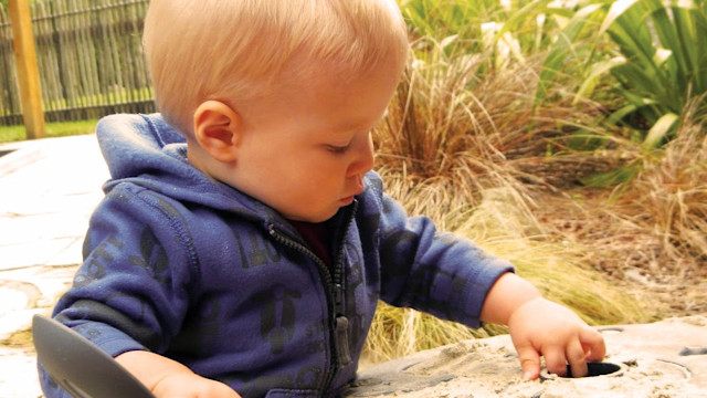 Photo of Bear Park Kohimarama