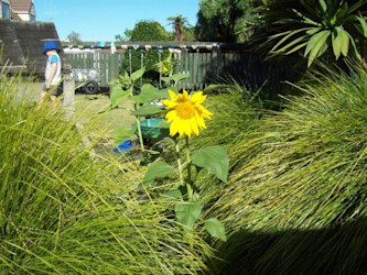 Photo of Central Kids Kindergartens - Hazelmere 