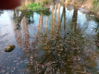 Photo of Landsdowne Terrace Playcentre