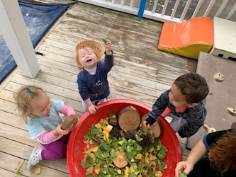 Photo of BestStart Newmarket