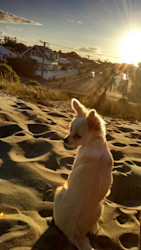 Photo of BestStart Styx Mill