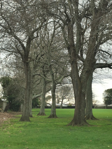 Photo of Kinderland Educare