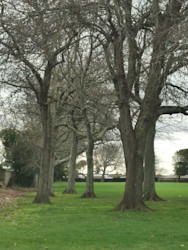 Photo of Kinderland Educare