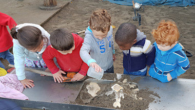 Photo of Lollipops Waikato Hospital