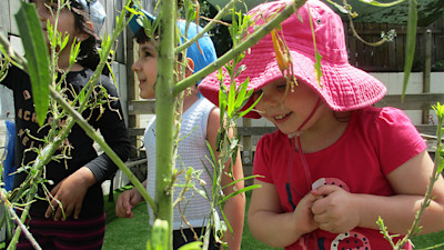 Photo of Little Earth Montessori Panmure