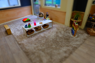 Photo of Puddleducks' Ward Street