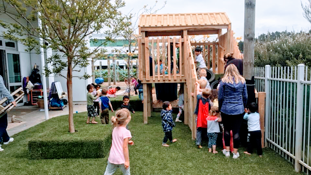 Photo of Natural Steps Albany