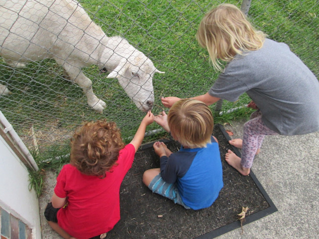 Photo of Simply Kids Preschool 