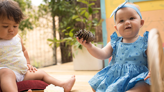 Photo of Punahau Early Childhood Care Centre