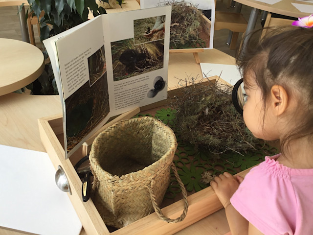 Photo of Bumblebees Whitford Childcare Centre