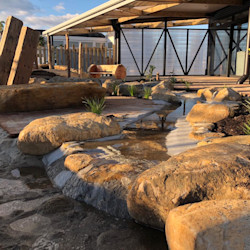 Photo of House of Wonder Gisborne