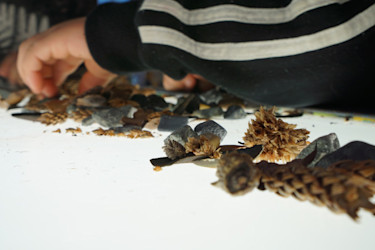 Photo of 4 Kids & Whanau Centre 