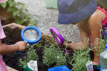 Photo of Educare Warkworth