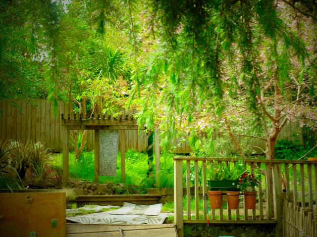 Photo of The Learning Centre Ltd 