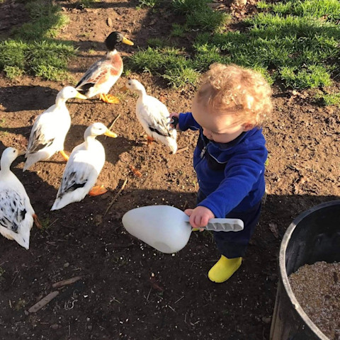 Photo of Old MacDonalds Rural Education & Care Centre