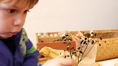 Photo of Bear Park Mt Eden