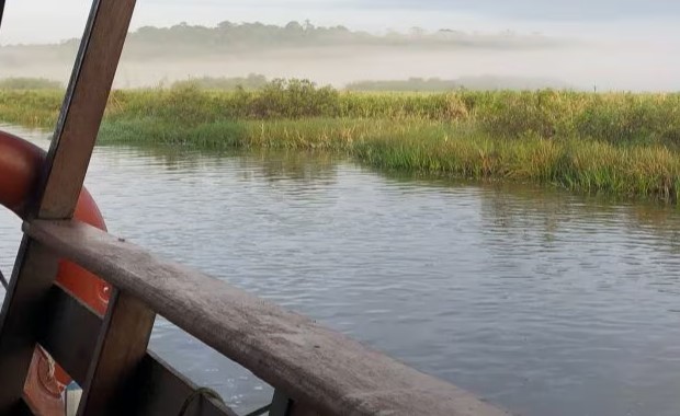 marais-de-kaw-guyane