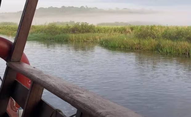 marais-de-kaw-guyane