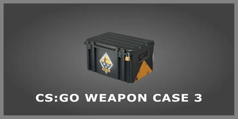 Weapon Case 3
