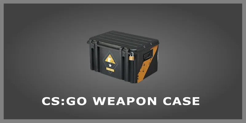 Weapon Case