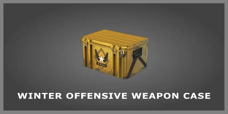 Winter Offensive Weapon Case