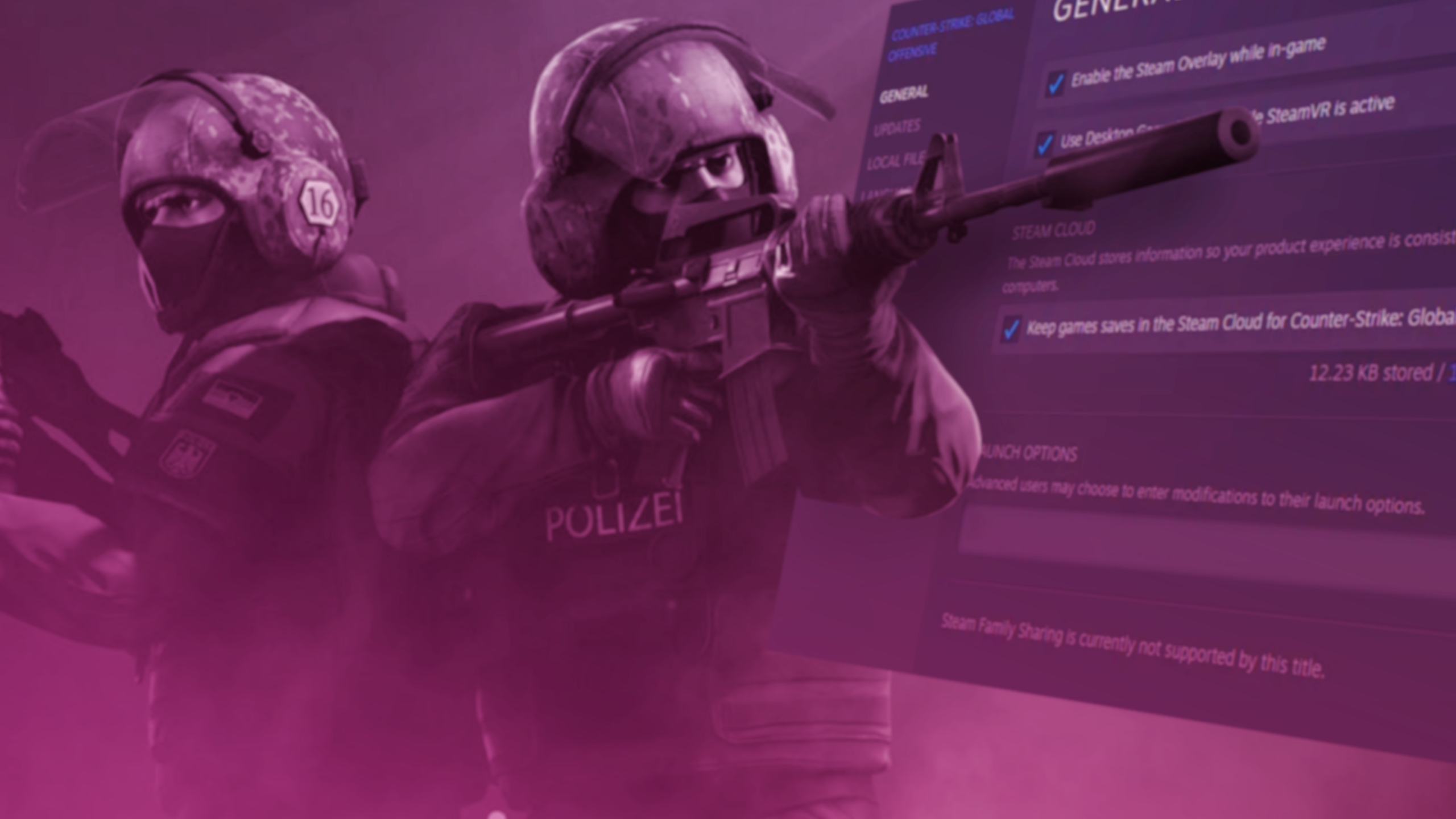 Best CS:GO Launch Options Guide - Skinport Blog