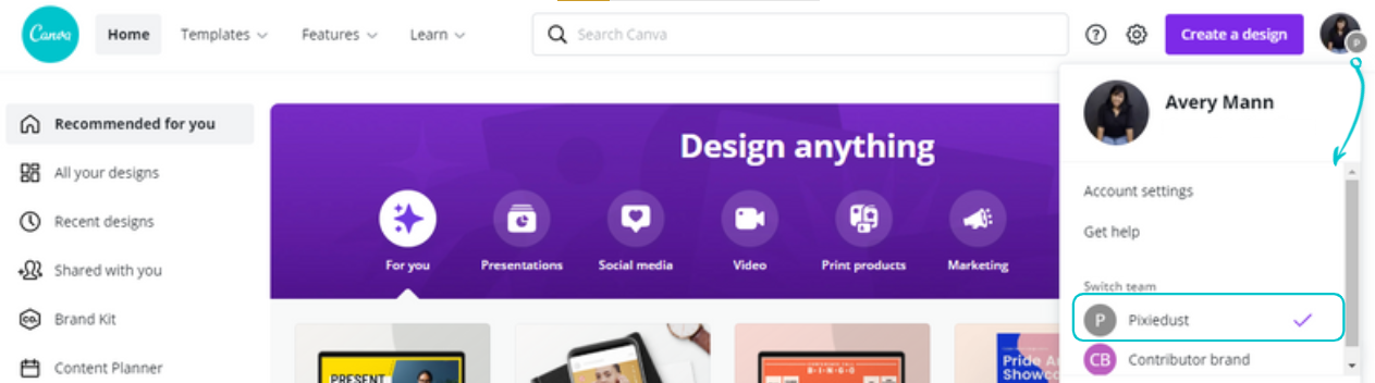Canva Pro/Teams product features