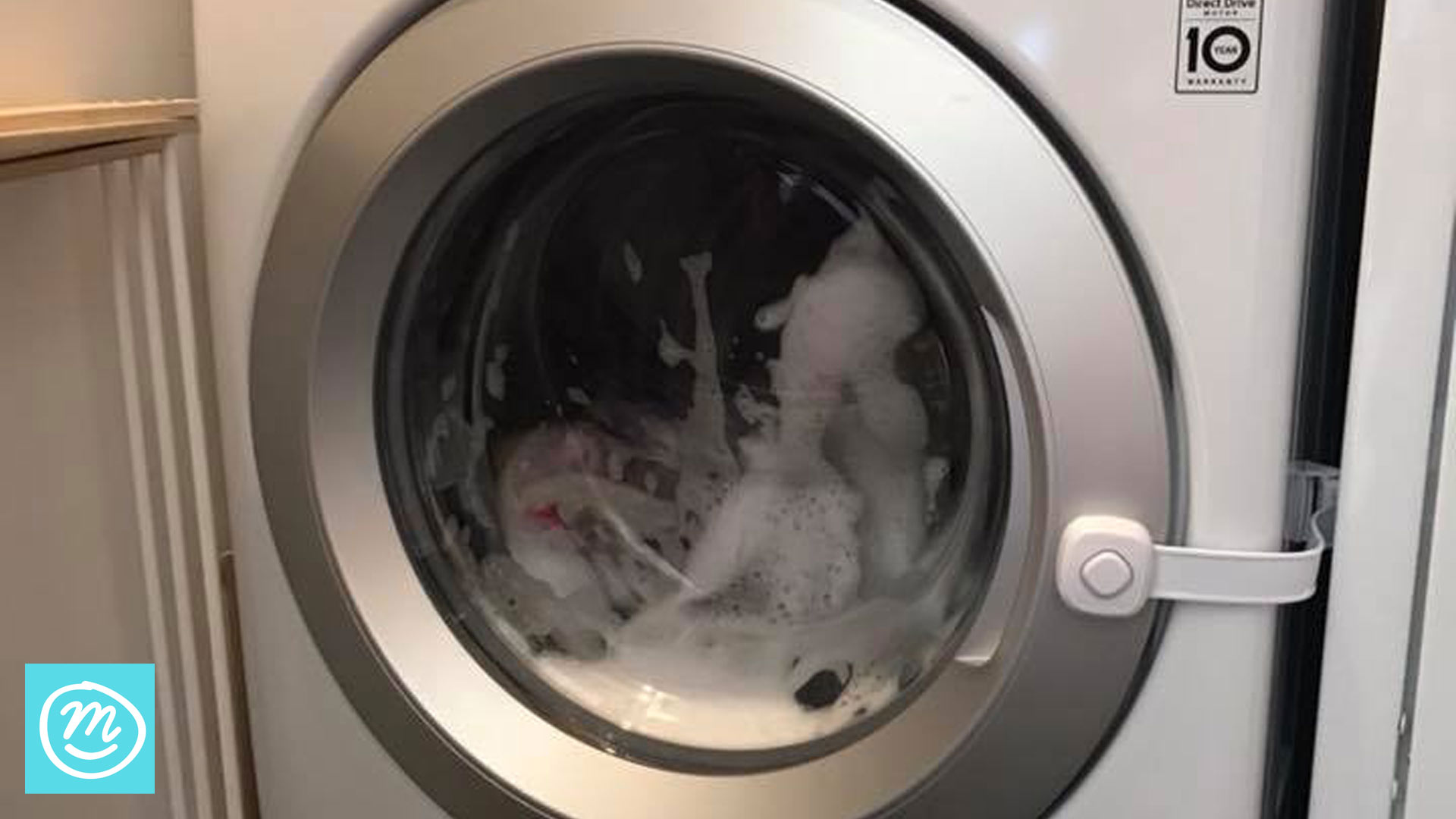 collapsing washing machine