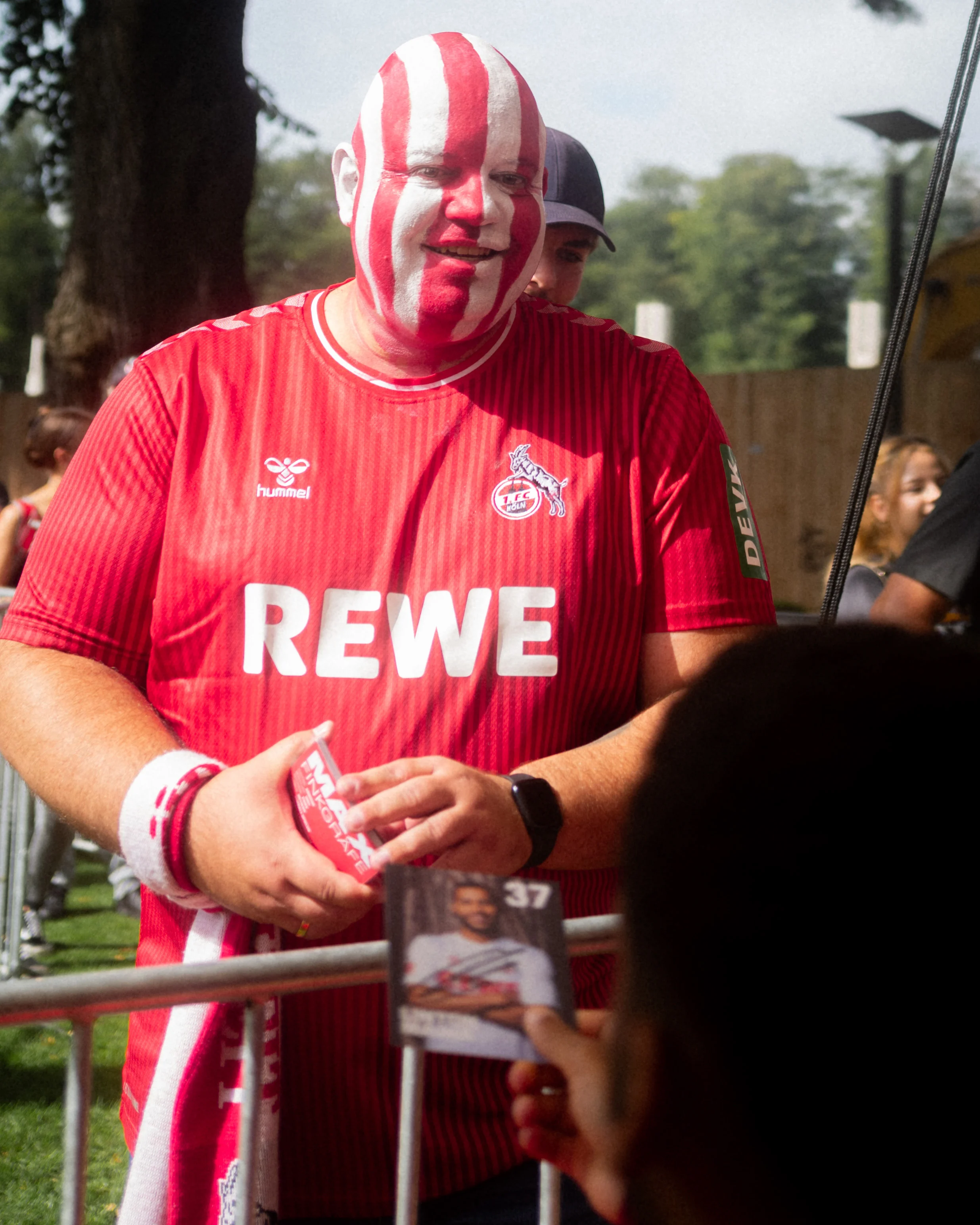 Fan_2.jpg
