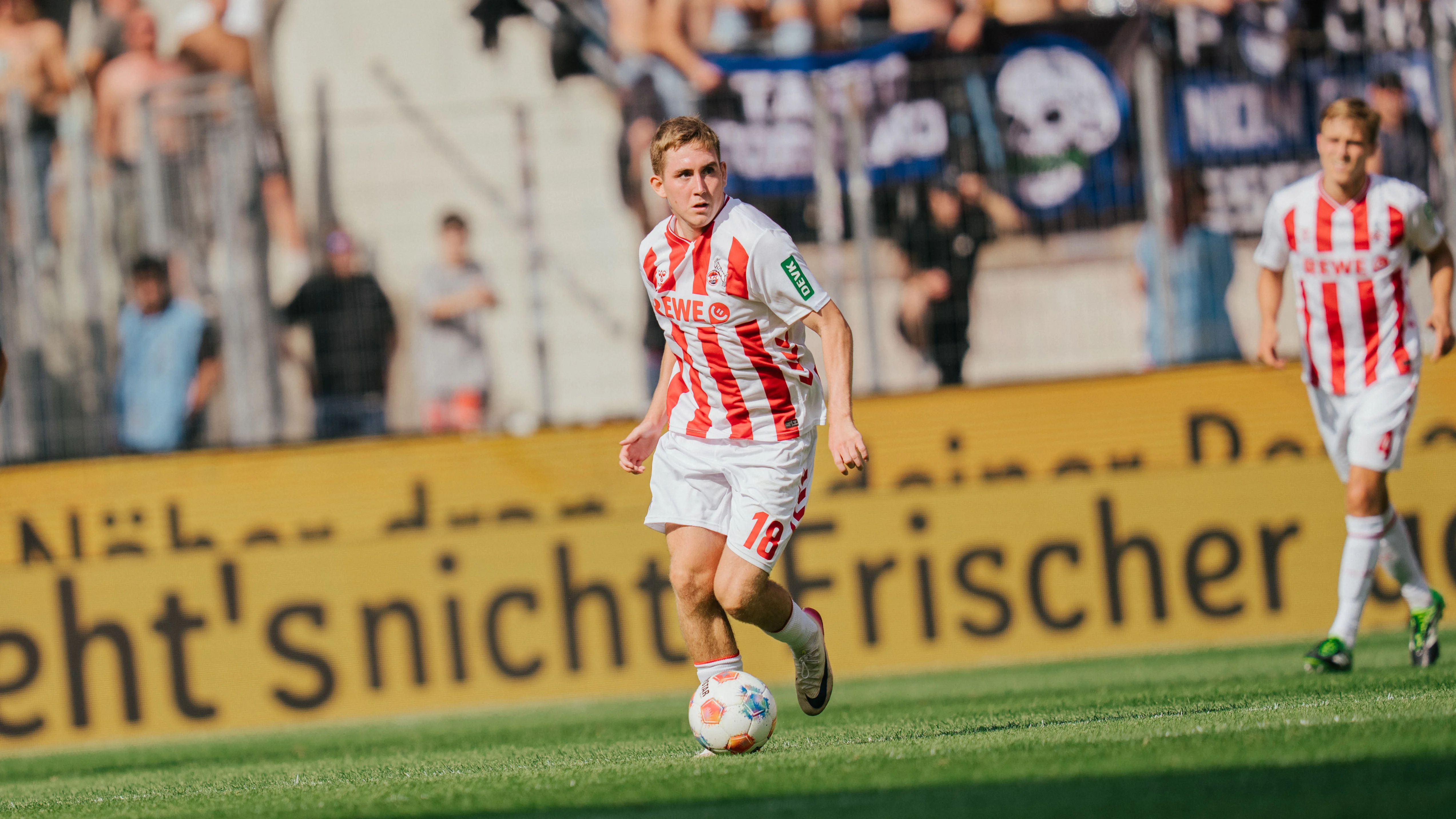 Johannesson_fakten.jpg