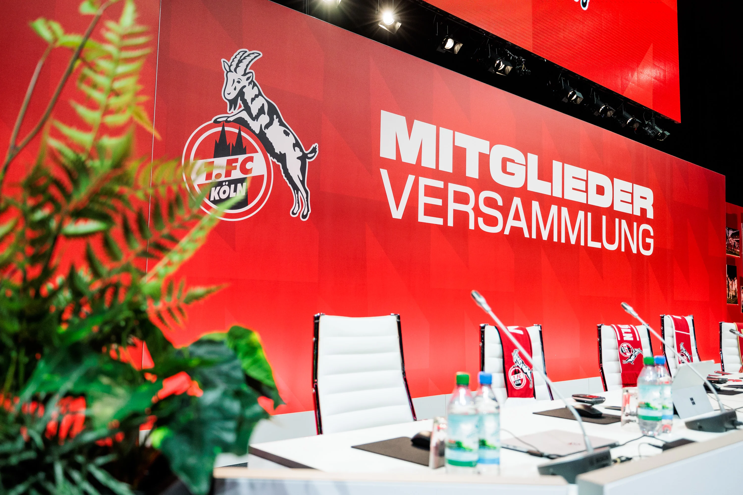 20240924_fcmitglieder_FotoSteffieWunderl_0005.jpg