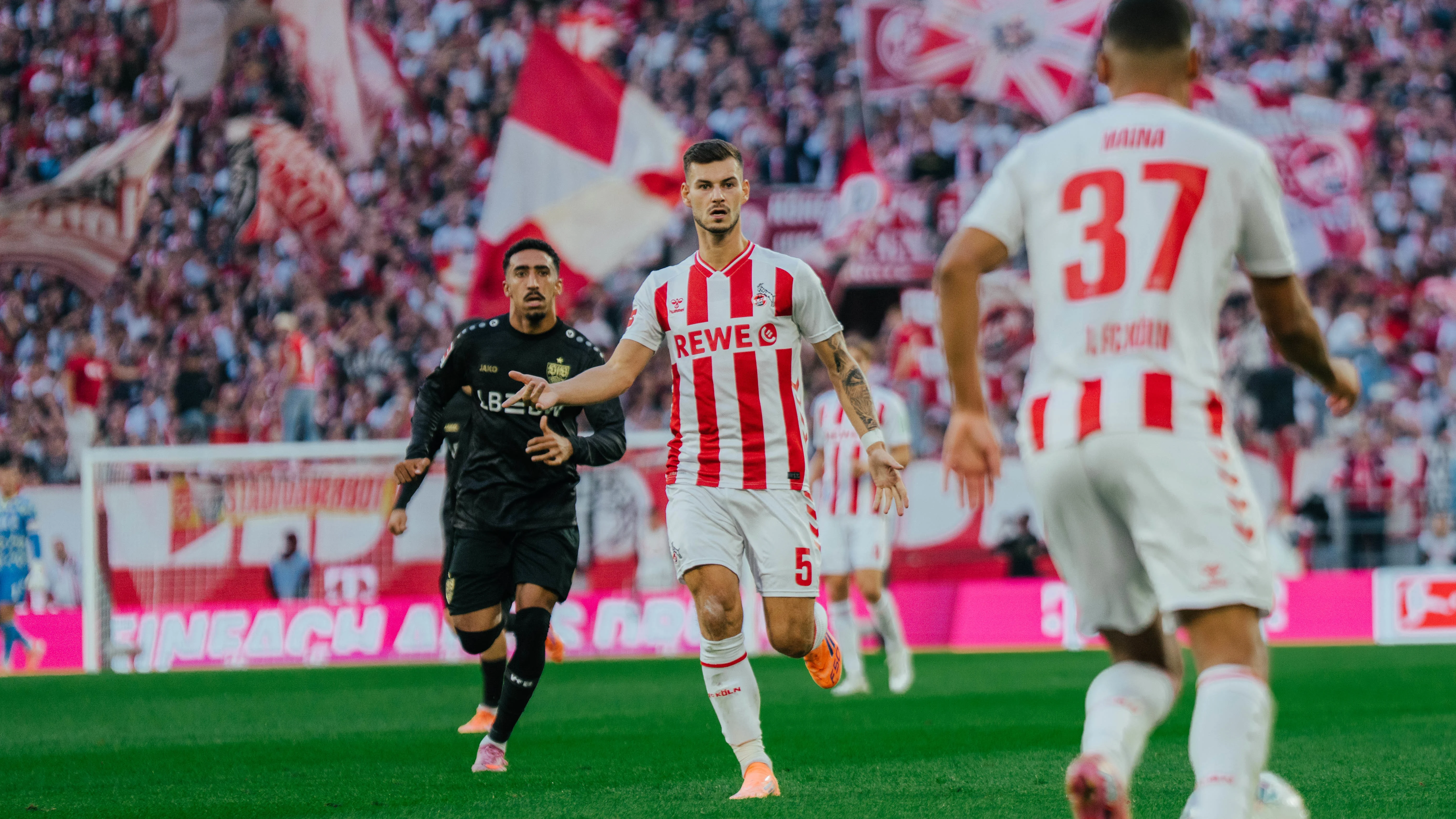 VFB_Vorschau_Anriss.jpg