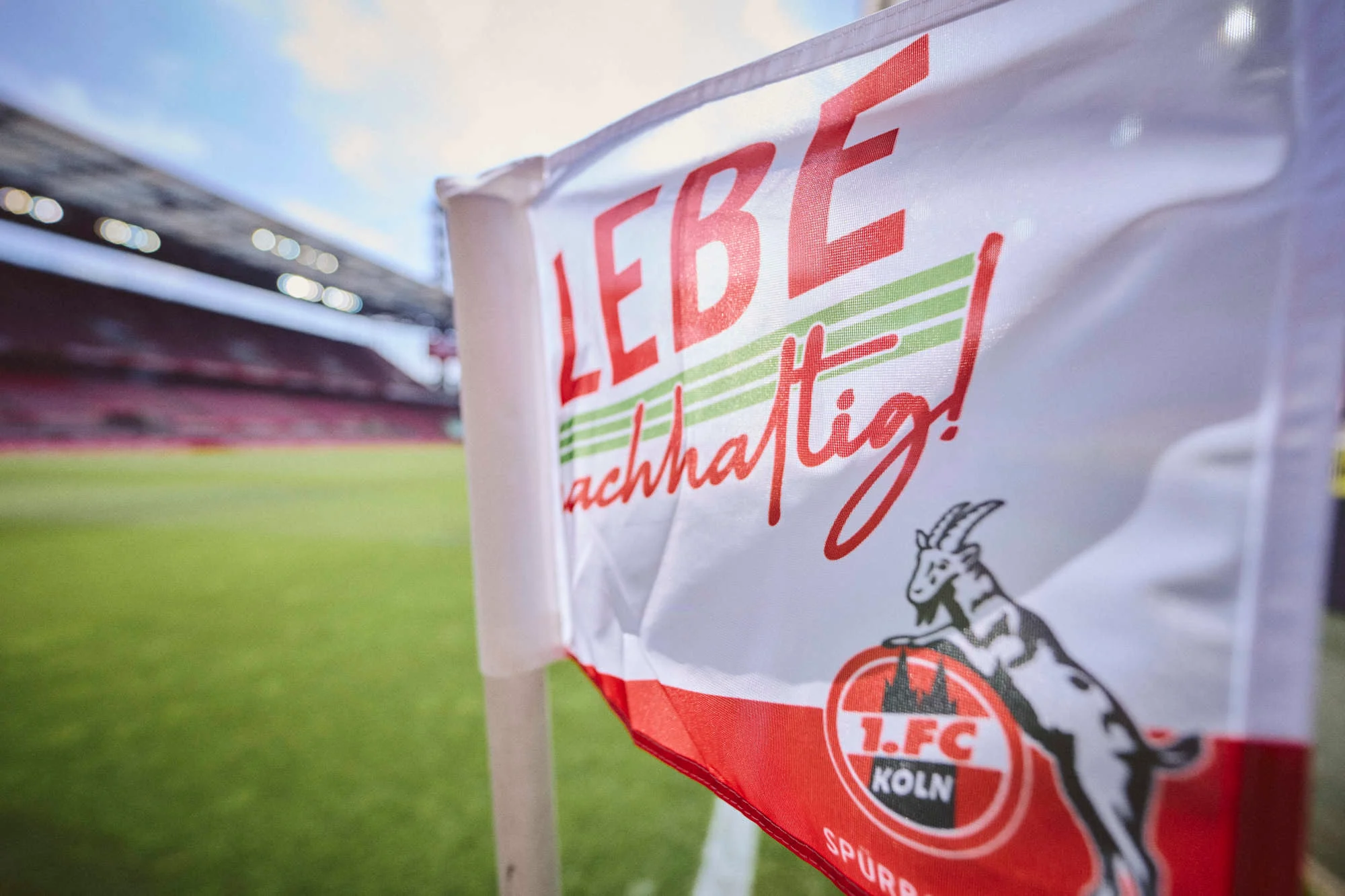 Lebe nachhaltig
