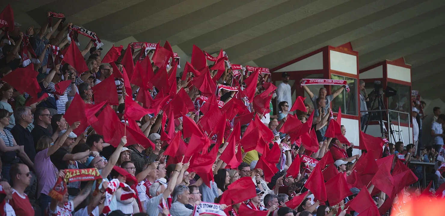 230914_HP_Fans_3906075.jpg