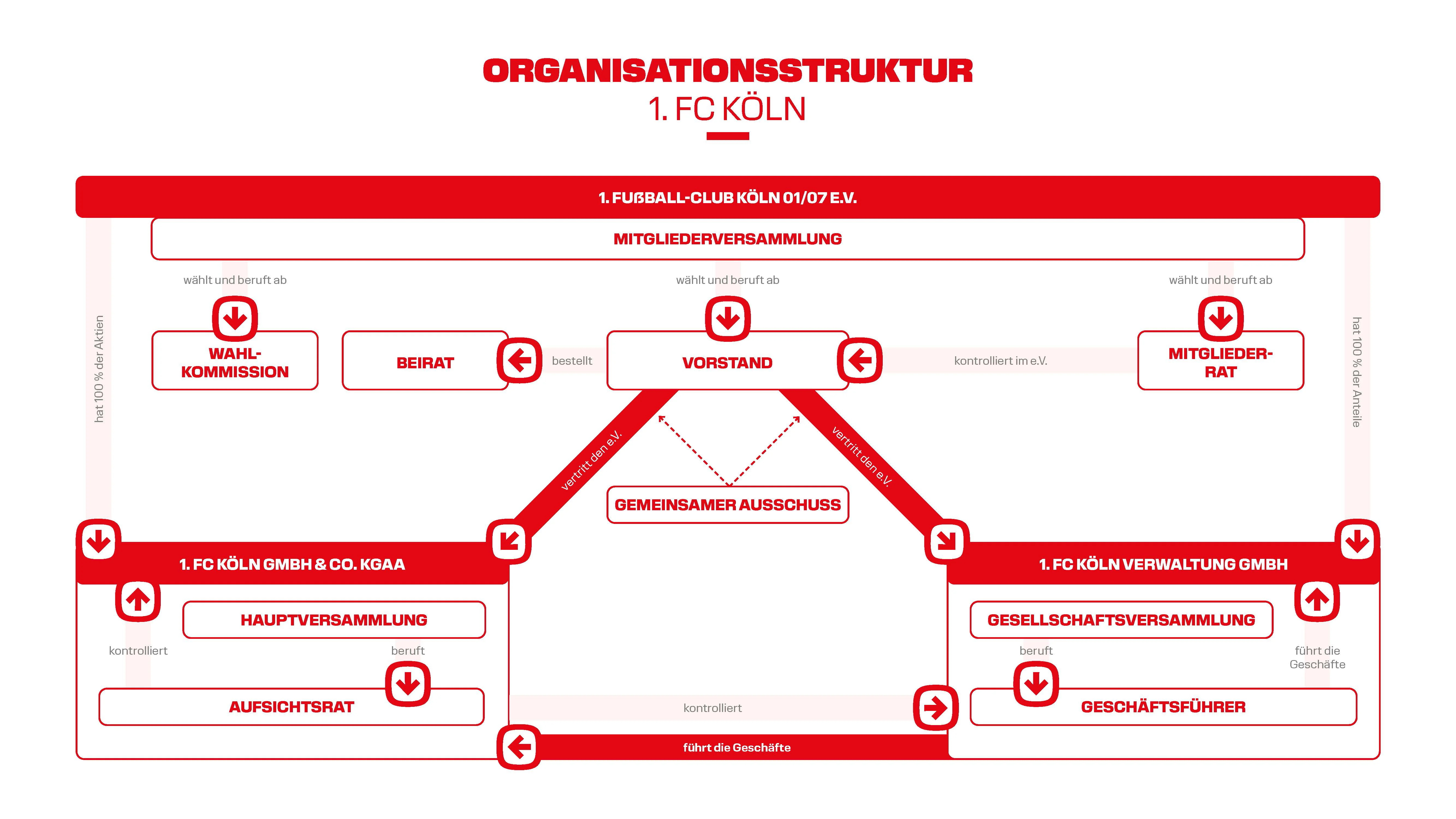 Organisationsstruktur