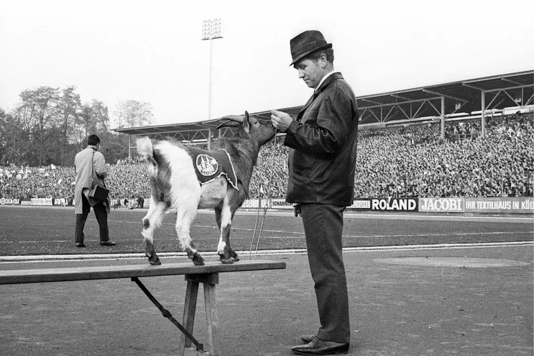 Hennes III. - August 1970 bis Juli 1975