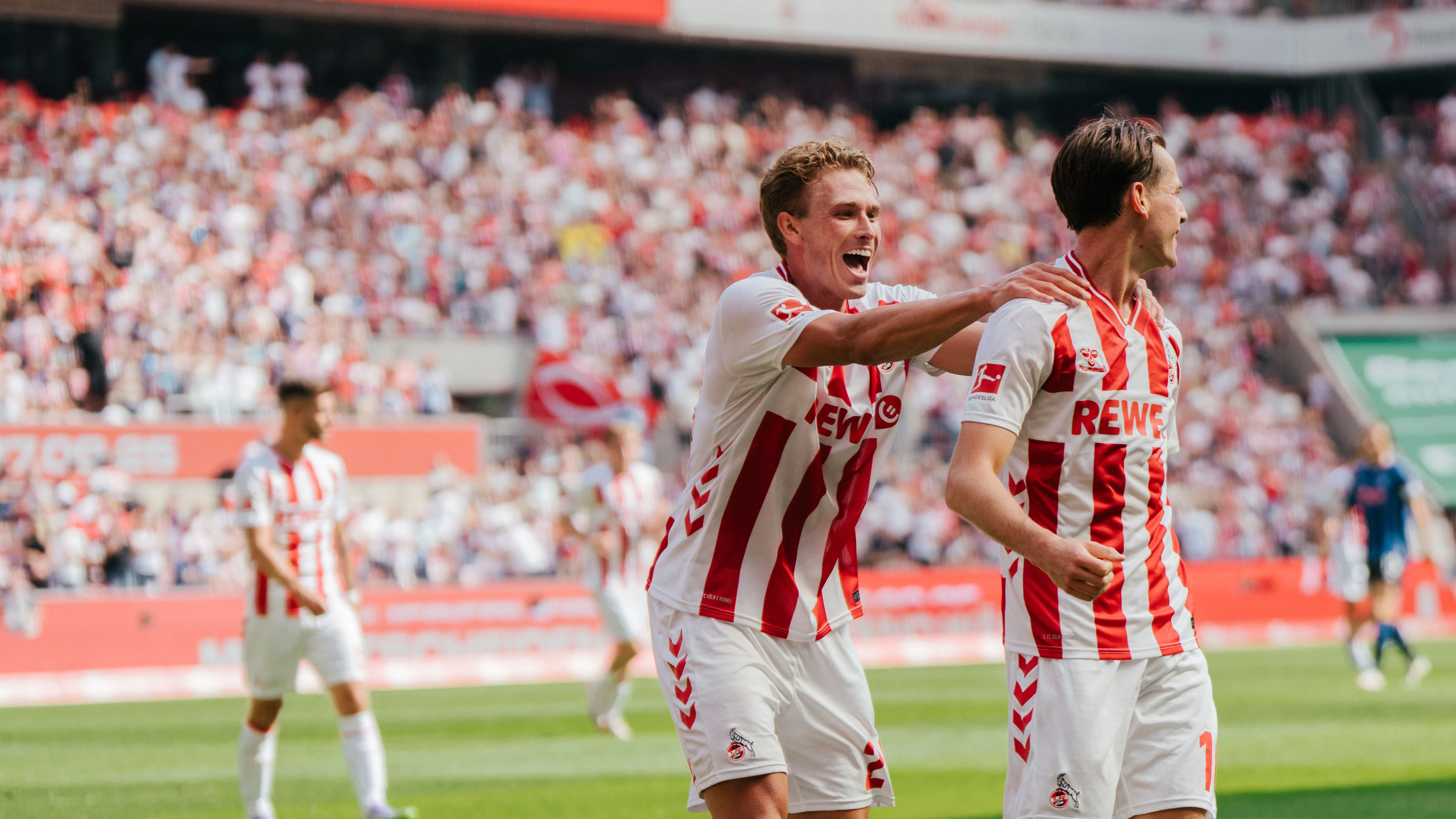 Vorschau_SCF_Anriss.jpg