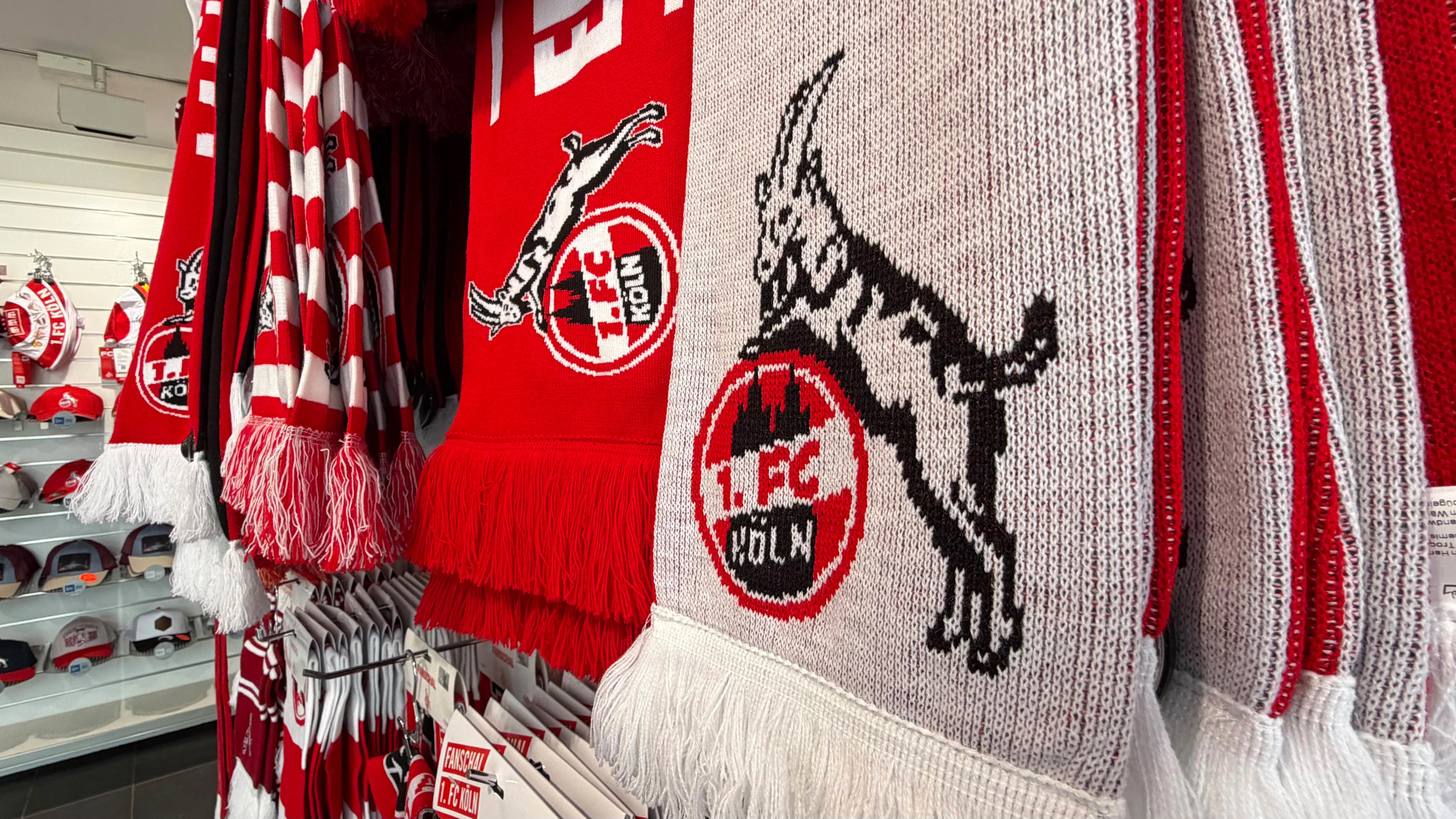 20260630 Fanshop.jpg