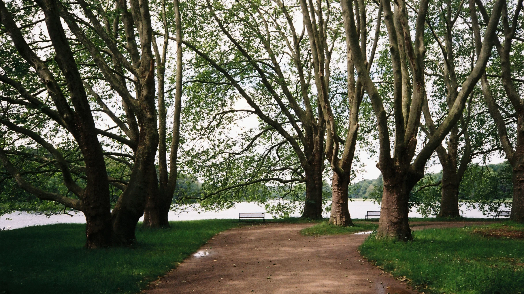 5_Orte_Weiher.jpg