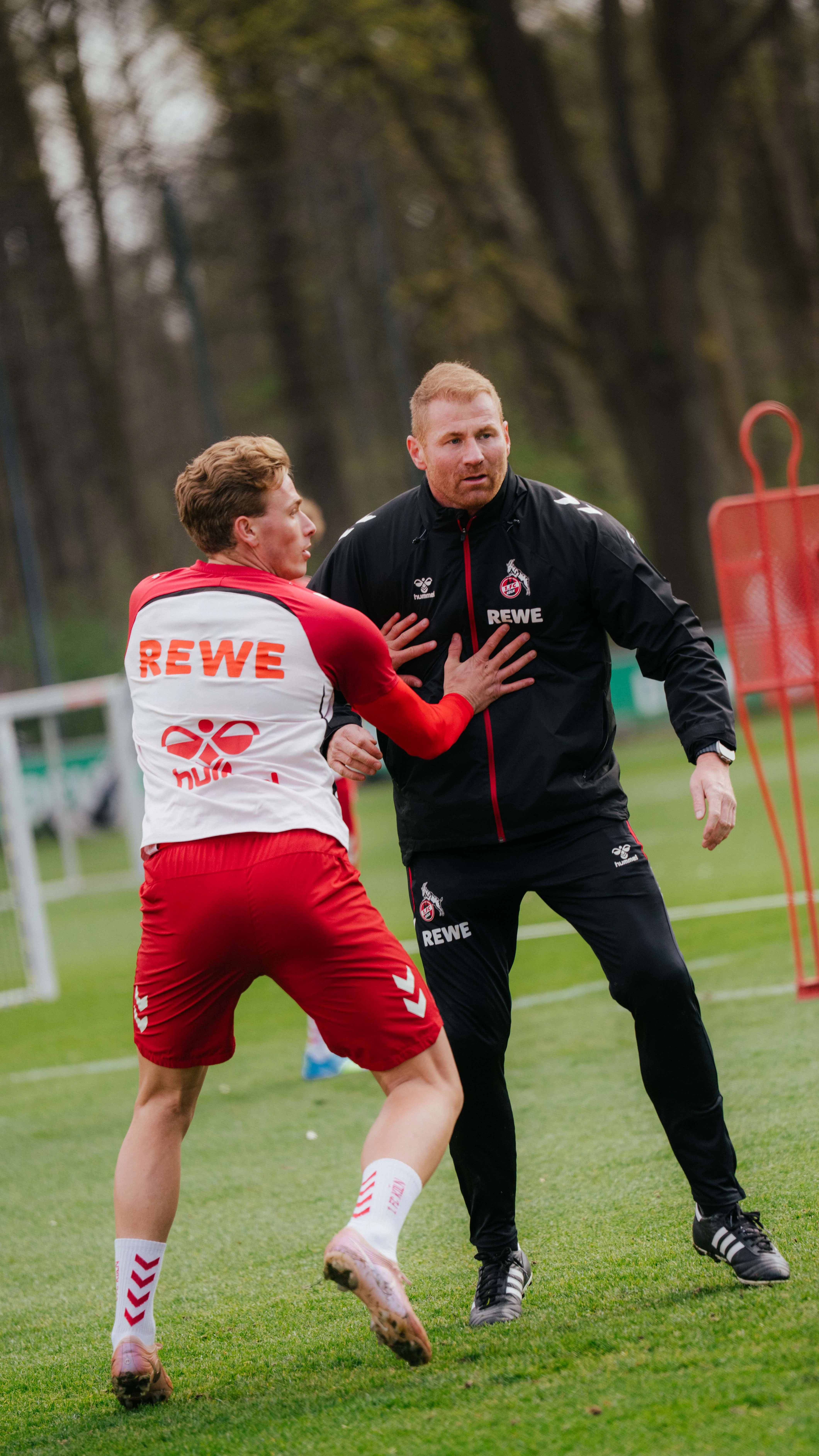 Co_Sinke_Bild.jpg